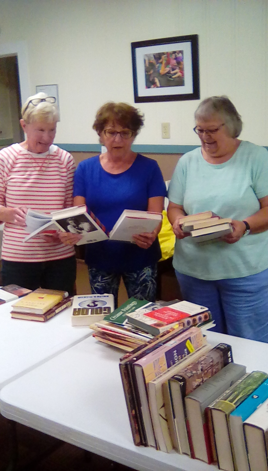 Annual Bemus Point Library Book Sale July 5 News, Sports, Jobs Post